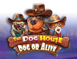 The Dog House - Dog or Alive